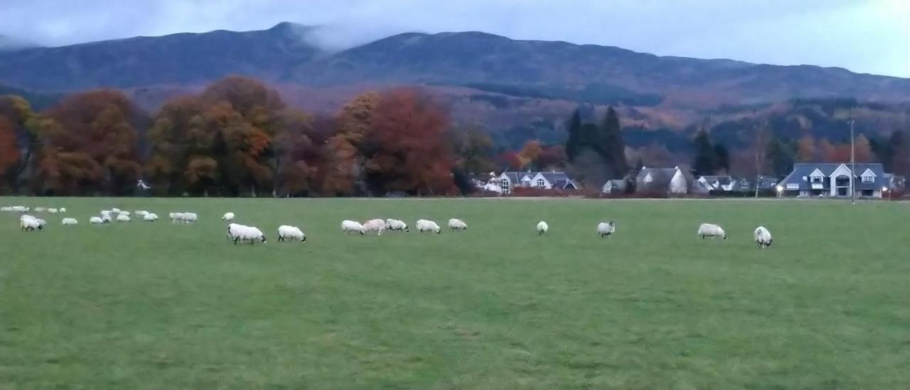 Bed and Breakfast Aquila Retreats Comrie Exterior foto