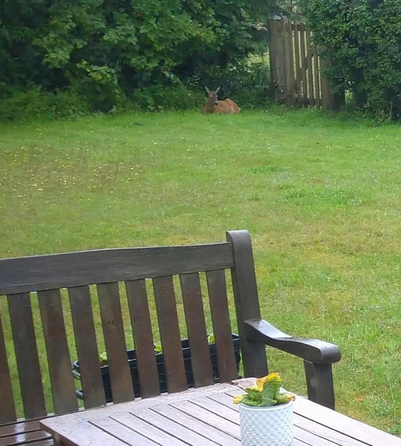 Bed and Breakfast Aquila Retreats Comrie Exterior foto