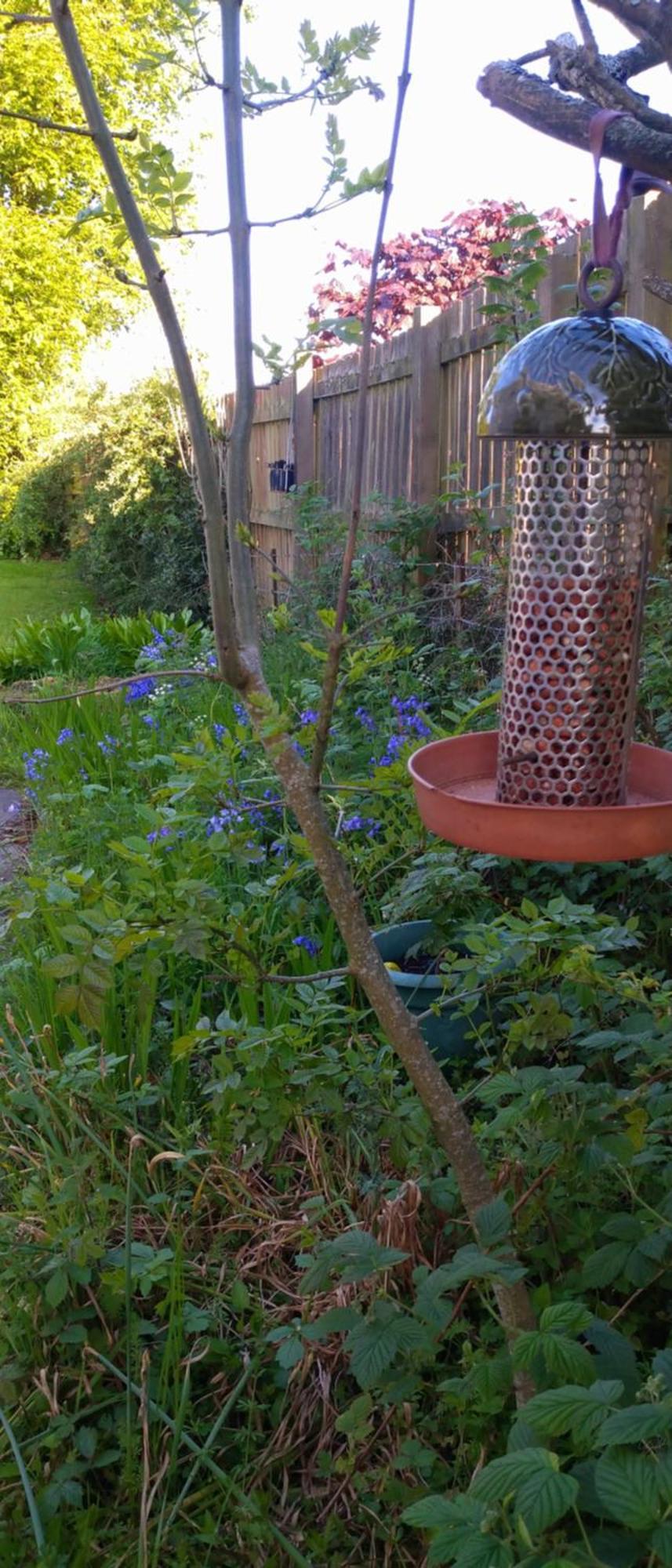 Bed and Breakfast Aquila Retreats Comrie Exterior foto